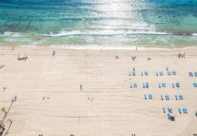 Appartement à Benidorm - Cachirulo Deluxe Apartment 13-B Levante Beach Appartement à Benidorm - Cachirulo Deluxe Apartment 13-B Levante Beach