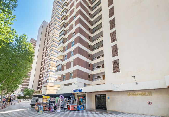 Appartement à Benidorm - Acuarium II 14-C Apartment Levante Beach Appartement à Benidorm - Acuarium II 14-C Apartment Levante Beach