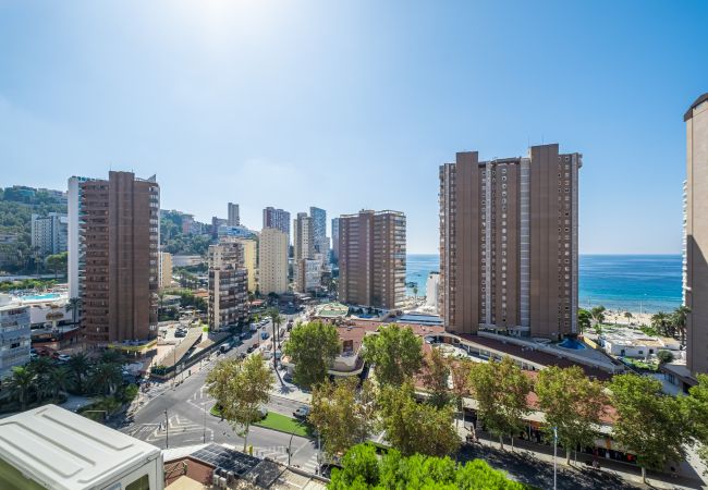 Studio à Benidorm - Albatros 13-8 Estudio Levante Beach Studio à Benidorm - Albatros 13-8 Estudio Levante Beach