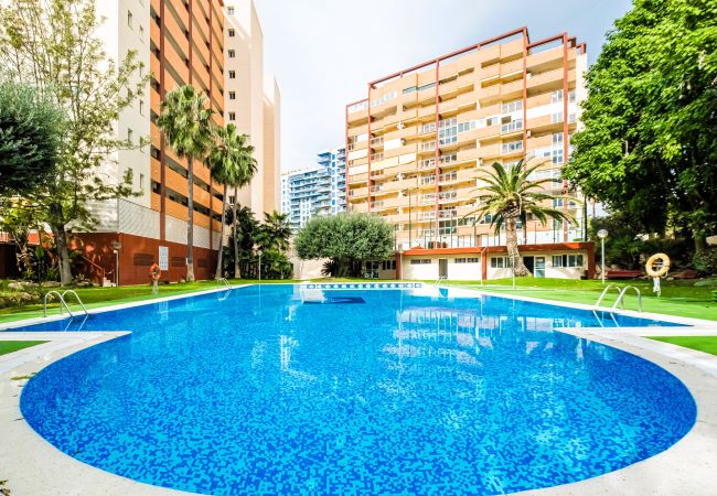  à Villajoyosa - Cala Esmeralda 6-F Apartment Playa La Cala Beach