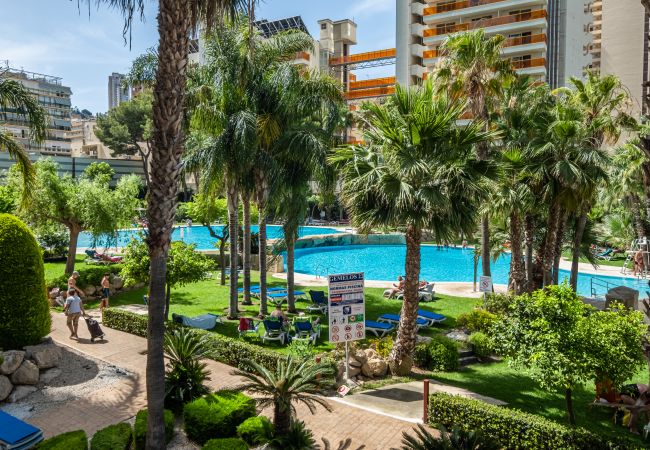 Апартаменты на Бенидорм / Benidorm -  Gemelos 22 Resort Apartment 2-15-B Levante Beach Апартаменты на Бенидорм / Benidorm -  Gemelos 22 Resort Apartment 2-15-B Levante Beach