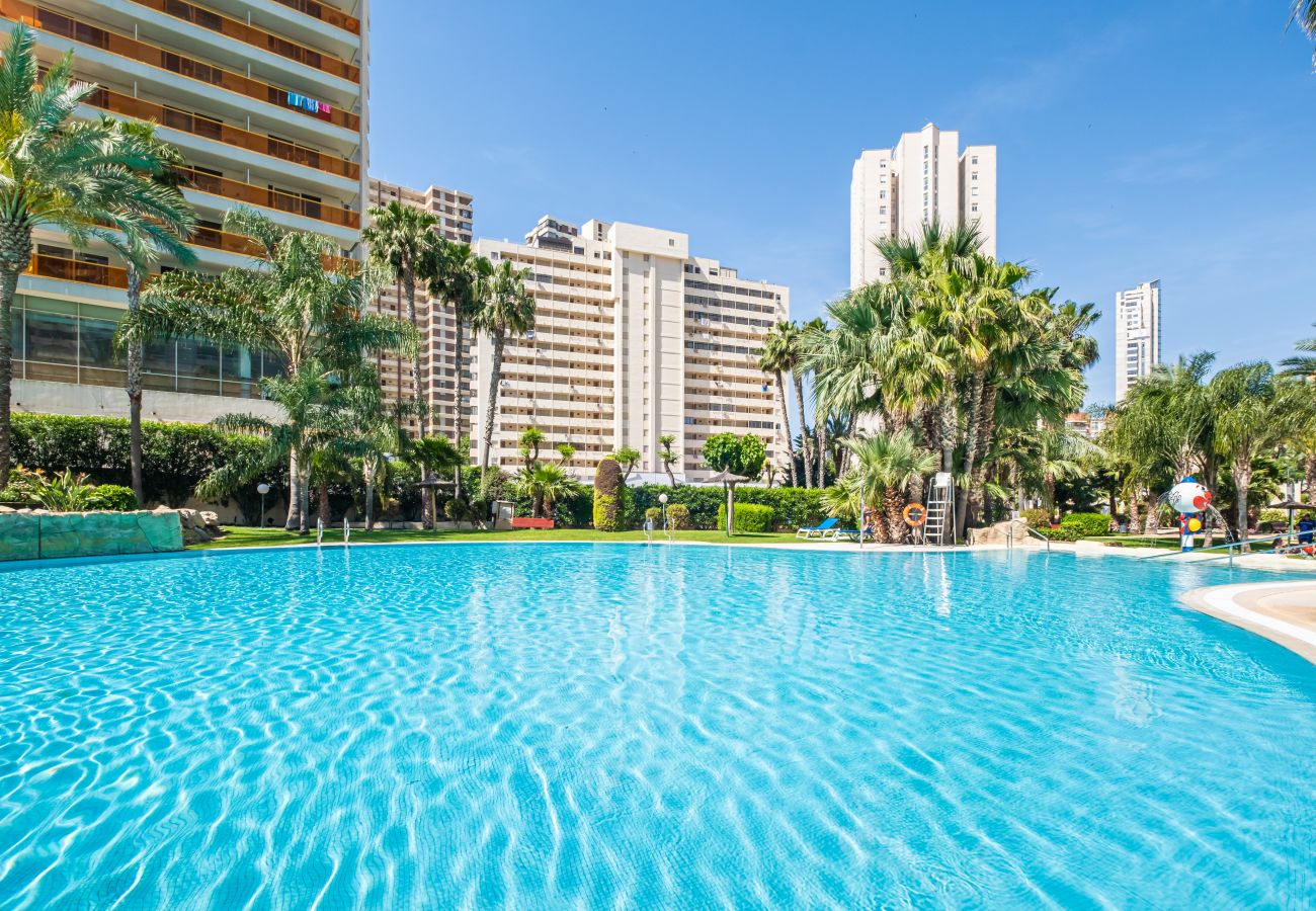Апартаменты на Бенидорм / Benidorm -  Gemelos 22 Resort Apartment 2-15-B Levante Beach Апартаменты на Бенидорм / Benidorm -  Gemelos 22 Resort Apartment 2-15-B Levante Beach