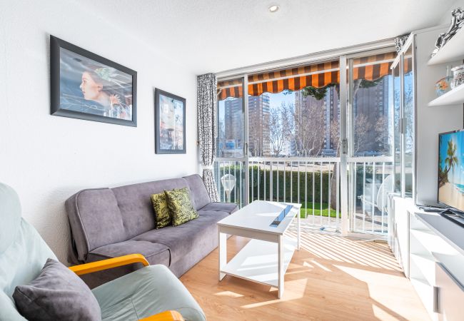 Квартира-студия на Benidorm - Albatros 2-6 Estudio Levante Beach Квартира-студия на Benidorm - Albatros 2-6 Estudio Levante Beach