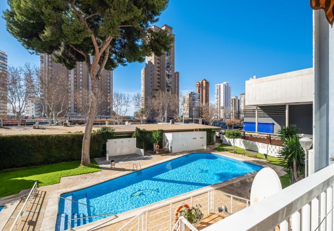 Квартира-студия на Benidorm - Albatros 2-6 Estudio Levante Beach Квартира-студия на Benidorm - Albatros 2-6 Estudio Levante Beach
