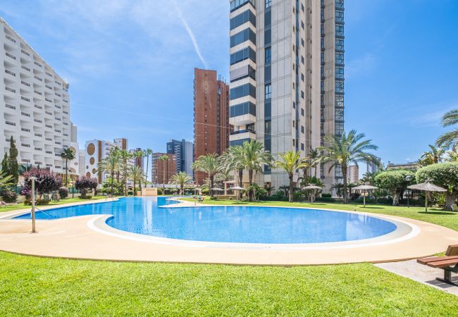 Апартаменты на Benidorm -  Gemelos 26-6-B Resort Apartment Levante Beach Апартаменты на Benidorm -  Gemelos 26-6-B Resort Apartment Levante Beach
