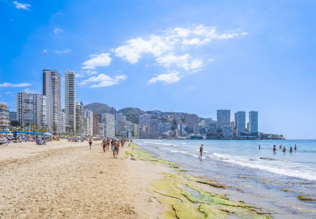 Апартаменты на Benidorm -  Los Ranchos 11 Apartment Levante Beach Апартаменты на Benidorm -  Los Ranchos 11 Apartment Levante Beach