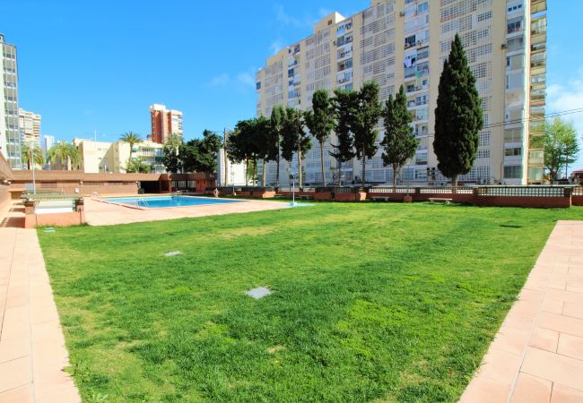 Апартаменты на Benidorm - Los Pinos 9B Apartment Levante Beach-Old Town Апартаменты на Benidorm - Los Pinos 9B Apartment Levante Beach-Old Town