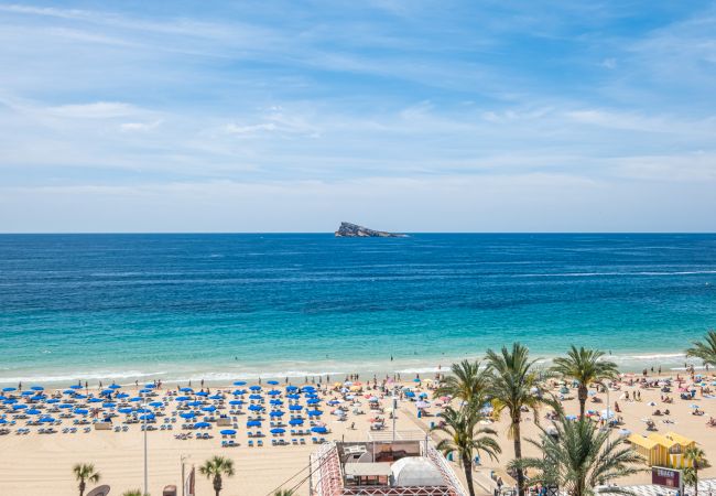 Апартаменты на Benidorm -  Acintur Apartment Levante Beach-Old Town Апартаменты на Benidorm -  Acintur Apartment Levante Beach-Old Town