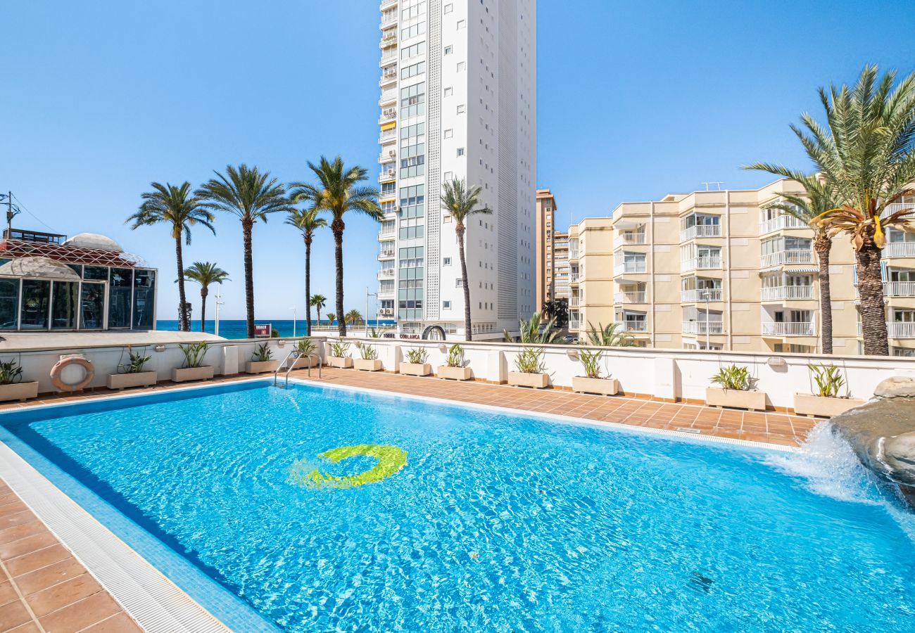 Апартаменты на Бенидорм / Benidorm -  Acintur Apartment Levante Beach-Old Town Апартаменты на Бенидорм / Benidorm -  Acintur Apartment Levante Beach-Old Town