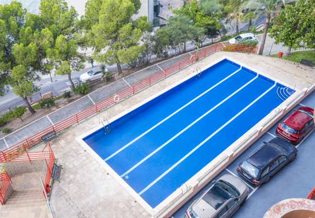 Апартаменты на Бенидорм / Benidorm - Don Miguel 4-F Apartment Levante Beach Апартаменты на Бенидорм / Benidorm - Don Miguel 4-F Apartment Levante Beach