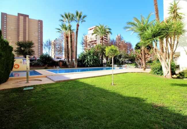 Апартаменты на Benidorm -  Edimar 2-3 Apartment Levante Beach Апартаменты на Benidorm -  Edimar 2-3 Apartment Levante Beach