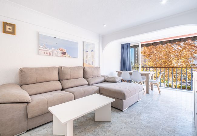 Апартаменты на Benidorm -  Edimar 2-3 Apartment Levante Beach Апартаменты на Benidorm -  Edimar 2-3 Apartment Levante Beach
