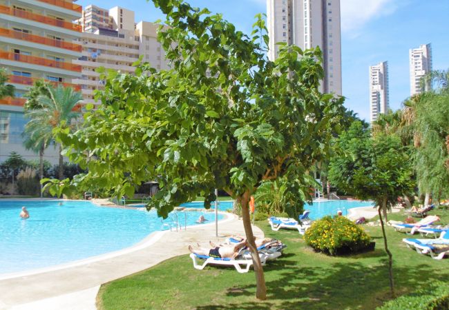 Апартаменты на Benidorm - Gemelos 22 Resort Apartment 3-18-B Levante Beach Апартаменты на Benidorm - Gemelos 22 Resort Apartment 3-18-B Levante Beach
