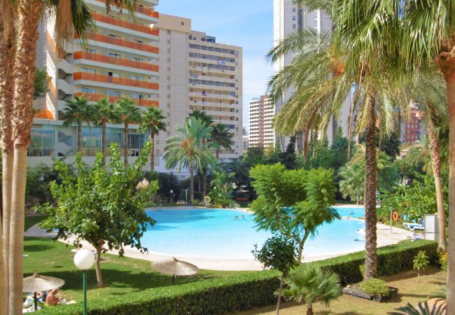 Апартаменты на Benidorm - Gemelos 22 Resort Apartment 3-18-B Levante Beach Апартаменты на Benidorm - Gemelos 22 Resort Apartment 3-18-B Levante Beach