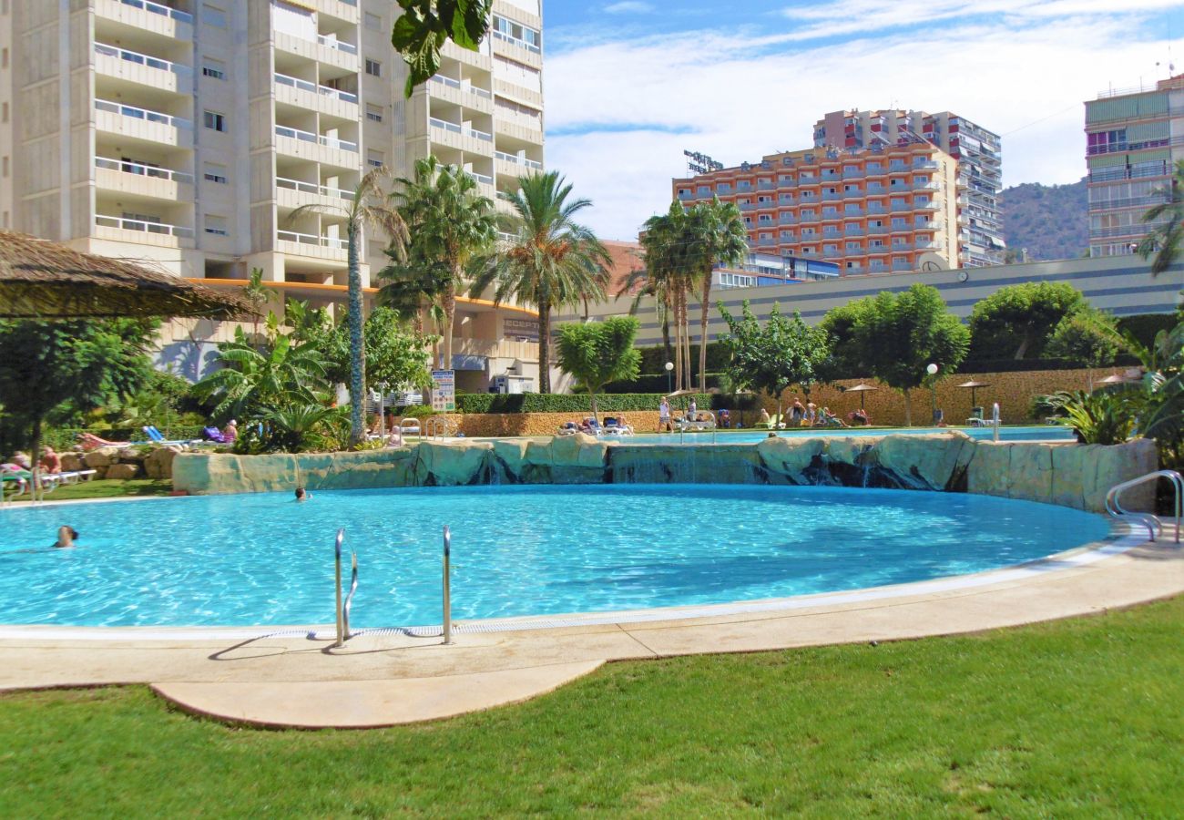 Апартаменты на Бенидорм / Benidorm - Gemelos 22 Resort Apartment 3-18-B Levante Beach Апартаменты на Бенидорм / Benidorm - Gemelos 22 Resort Apartment 3-18-B Levante Beach