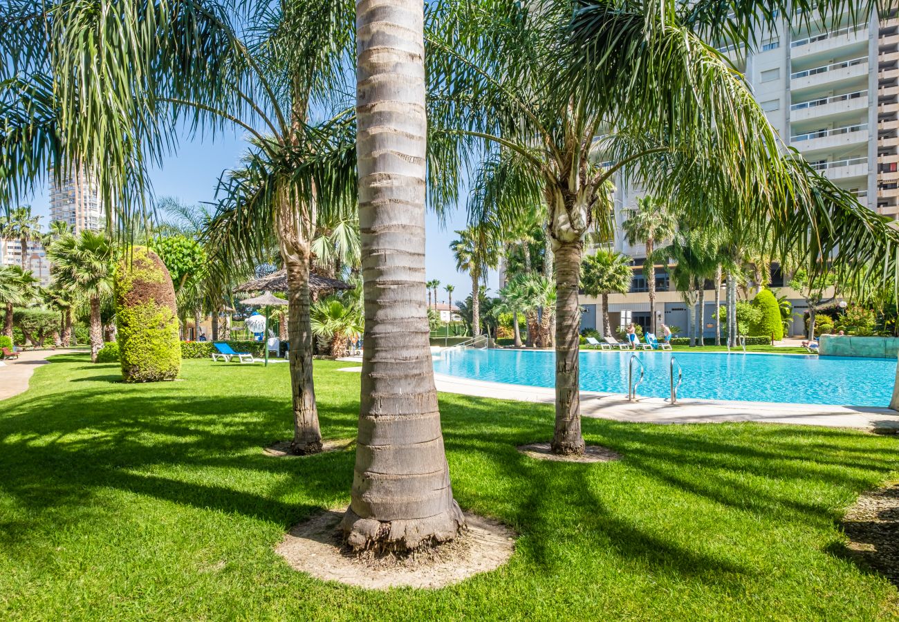 Апартаменты на Бенидорм / Benidorm - Gemelos 22 Resort Apartment 3-18-B Levante Beach Апартаменты на Бенидорм / Benidorm - Gemelos 22 Resort Apartment 3-18-B Levante Beach