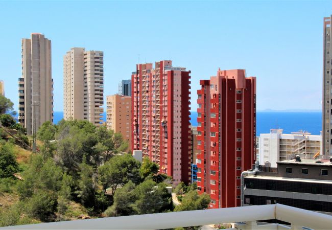 Апартаменты на Benidorm - Tower San Remo 9-E Apartment Levante Beach Апартаменты на Benidorm - Tower San Remo 9-E Apartment Levante Beach