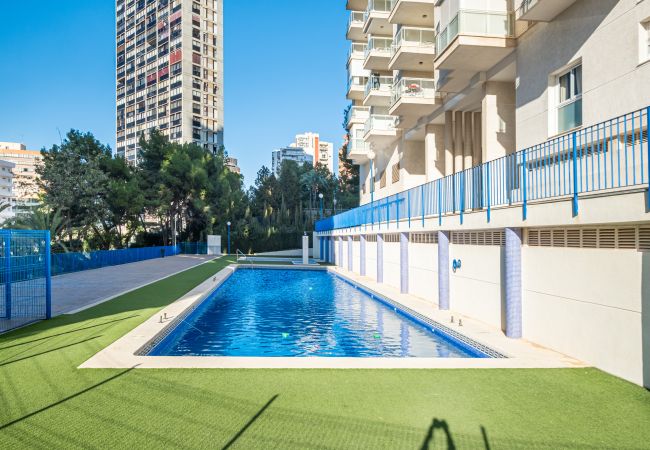 Апартаменты на Benidorm - Tower San Remo 9-E Apartment Levante Beach Апартаменты на Benidorm - Tower San Remo 9-E Apartment Levante Beach