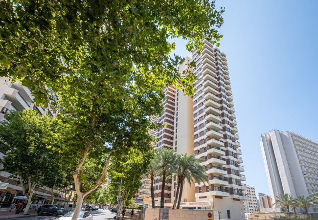 Апартаменты на Benidorm -  Acuarium 3-19-E Apartment Levante Beach Апартаменты на Benidorm -  Acuarium 3-19-E Apartment Levante Beach