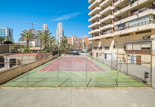 Апартаменты на Benidorm -  Acuarium 3-19-E Apartment Levante Beach Апартаменты на Benidorm -  Acuarium 3-19-E Apartment Levante Beach