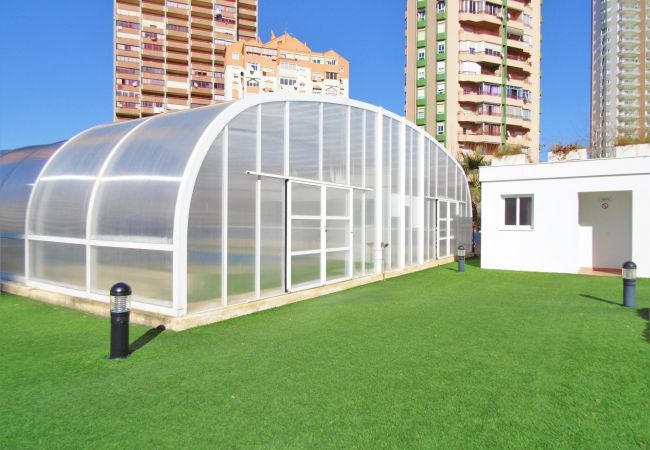 Апартаменты на Benidorm - Gemelos 26 Resort Apartment 27C Levante Beach  Апартаменты на Benidorm - Gemelos 26 Resort Apartment 27C Levante Beach