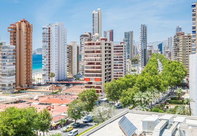 Квартира-студия на Бенидорм / Benidorm - Albatros 12-8 Sea Views Levante Beach Квартира-студия на Бенидорм / Benidorm - Albatros 12-8 Sea Views Levante Beach