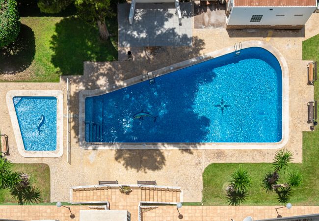 Квартира-студия на Бенидорм / Benidorm - Albatros 12-8 Sea Views Levante Beach Квартира-студия на Бенидорм / Benidorm - Albatros 12-8 Sea Views Levante Beach