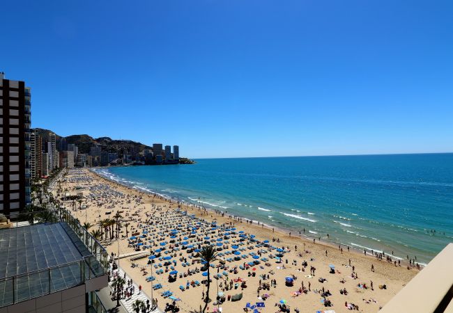 Апартаменты на Benidorm - Principado Arena 9-C Levante Beach Апартаменты на Benidorm - Principado Arena 9-C Levante Beach