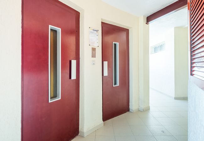 Апартаменты на Benidorm -  Las Damas 23-C Levante Beach Апартаменты на Benidorm -  Las Damas 23-C Levante Beach