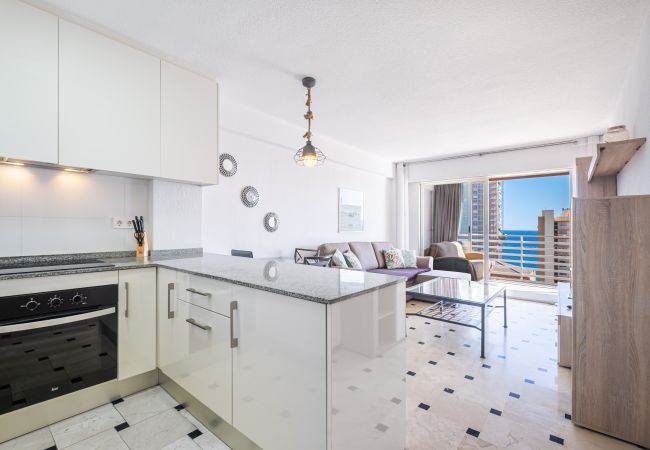 Апартаменты на Benidorm - Principado Mediterraneo 14-C Levante Beach Апартаменты на Benidorm - Principado Mediterraneo 14-C Levante Beach