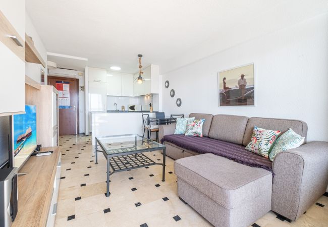 Апартаменты на Benidorm - Principado Mediterraneo 14-C Levante Beach Апартаменты на Benidorm - Principado Mediterraneo 14-C Levante Beach