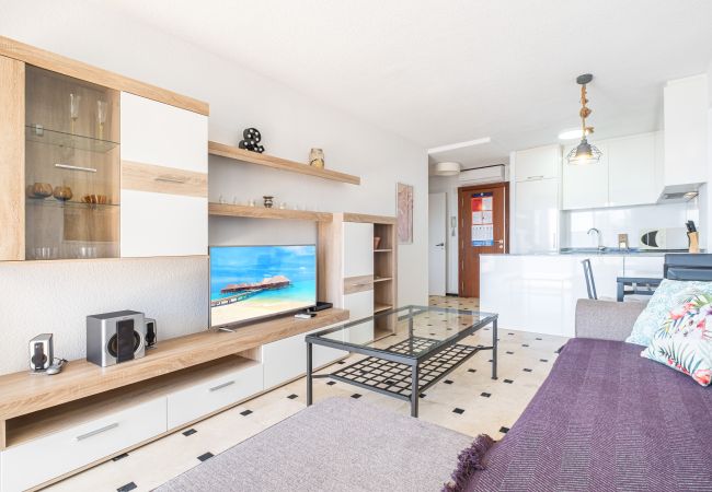 Апартаменты на Benidorm - Principado Mediterraneo 14-C Levante Beach Апартаменты на Benidorm - Principado Mediterraneo 14-C Levante Beach