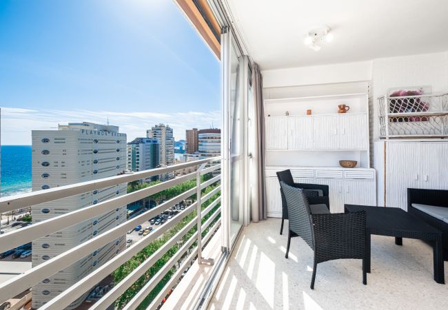 Апартаменты на Benidorm - Principado Mediterraneo 14-C Levante Beach Апартаменты на Benidorm - Principado Mediterraneo 14-C Levante Beach