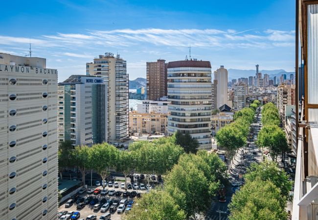 Апартаменты на Benidorm - Principado Mediterraneo 14-C Levante Beach Апартаменты на Benidorm - Principado Mediterraneo 14-C Levante Beach