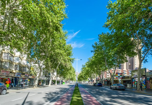 Апартаменты на Benidorm - Principado Mediterraneo 14-C Levante Beach Апартаменты на Benidorm - Principado Mediterraneo 14-C Levante Beach