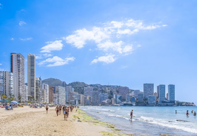 Апартаменты на Benidorm - Principado Mediterraneo 14-C Levante Beach Апартаменты на Benidorm - Principado Mediterraneo 14-C Levante Beach