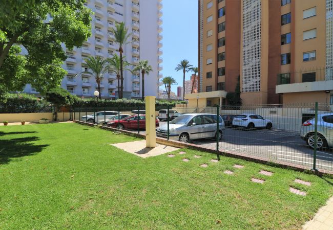 Апартаменты на Benidorm -  Waldorff 4-A Levante Beach Apartment Апартаменты на Benidorm -  Waldorff 4-A Levante Beach Apartment