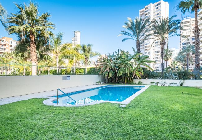 Апартаменты на Benidorm -  Waldorff 4-A Levante Beach Apartment Апартаменты на Benidorm -  Waldorff 4-A Levante Beach Apartment