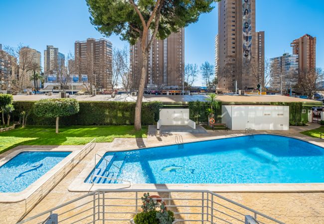 Апартаменты на Benidorm - Albatros 2-7 Apartment Levante Beach Апартаменты на Benidorm - Albatros 2-7 Apartment Levante Beach