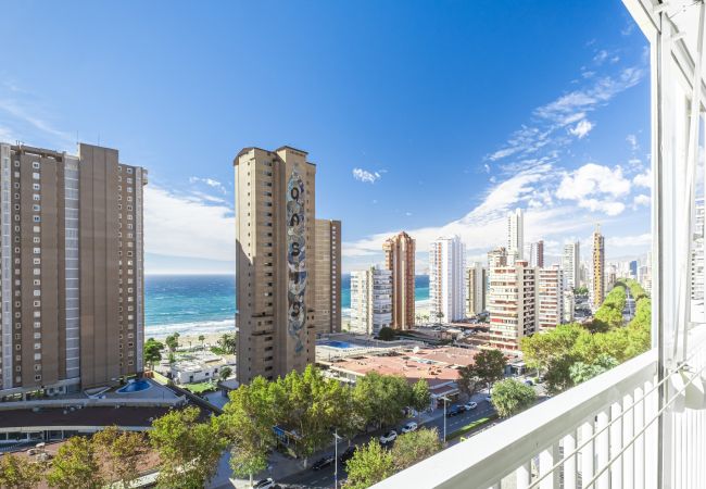 Квартира-студия на Бенидорм / Benidorm -  Albatros 14-10 Estudio Levante Beach Квартира-студия на Бенидорм / Benidorm -  Albatros 14-10 Estudio Levante Beach