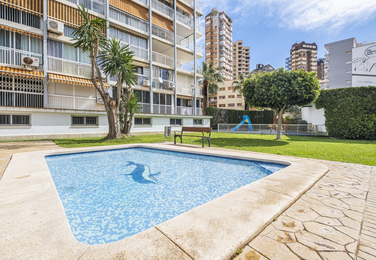 Квартира-студия на Бенидорм / Benidorm -  Albatros 14-10 Estudio Levante Beach Квартира-студия на Бенидорм / Benidorm -  Albatros 14-10 Estudio Levante Beach