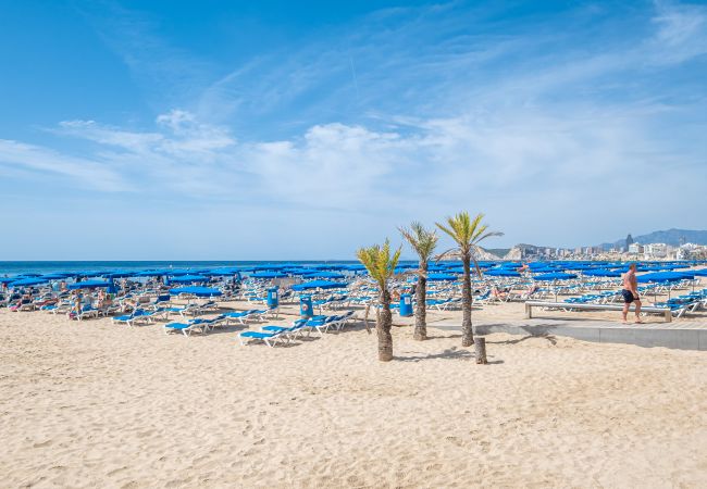 Апартаменты на Benidorm - Santa Margarita Deluxe 14-D Levante Beach Апартаменты на Benidorm - Santa Margarita Deluxe 14-D Levante Beach