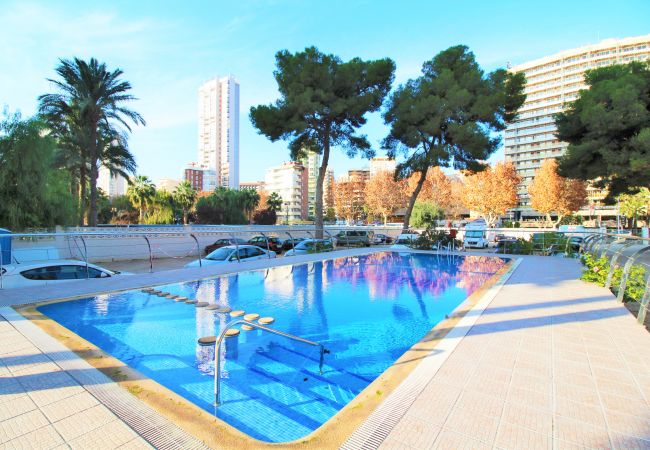Апартаменты на Benidorm - Las Damas 14-B Sea View Levante Beach Апартаменты на Benidorm - Las Damas 14-B Sea View Levante Beach