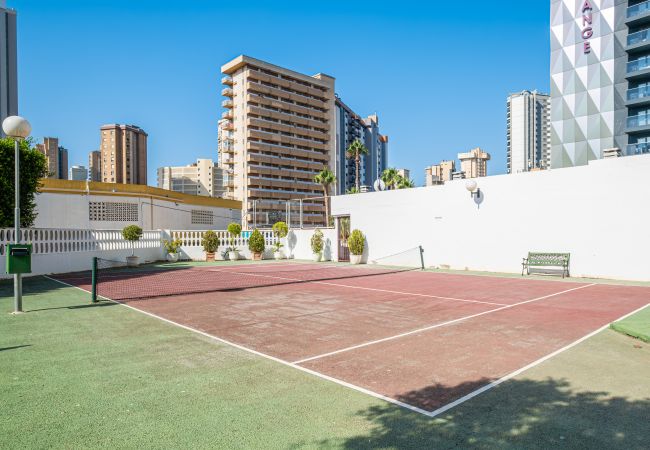 Апартаменты на Бенидорм / Benidorm - Torre Domo 9-D Levante Beach Апартаменты на Бенидорм / Benidorm - Torre Domo 9-D Levante Beach