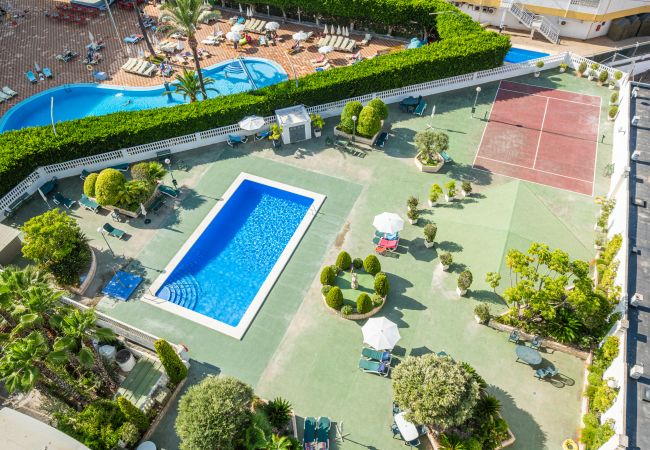 Апартаменты на Бенидорм / Benidorm - Torre Domo 9-D Levante Beach Апартаменты на Бенидорм / Benidorm - Torre Domo 9-D Levante Beach