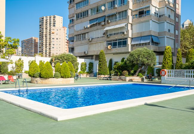 Апартаменты на Бенидорм / Benidorm - Torre Domo 9-D Levante Beach Апартаменты на Бенидорм / Benidorm - Torre Domo 9-D Levante Beach
