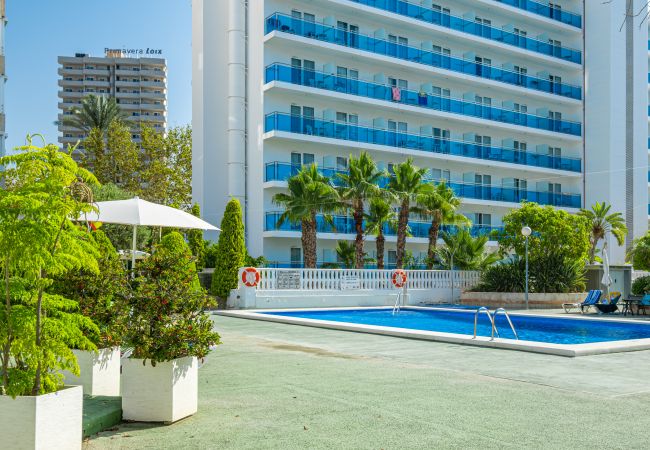 Апартаменты на Бенидорм / Benidorm - Torre Domo 9-D Levante Beach Апартаменты на Бенидорм / Benidorm - Torre Domo 9-D Levante Beach