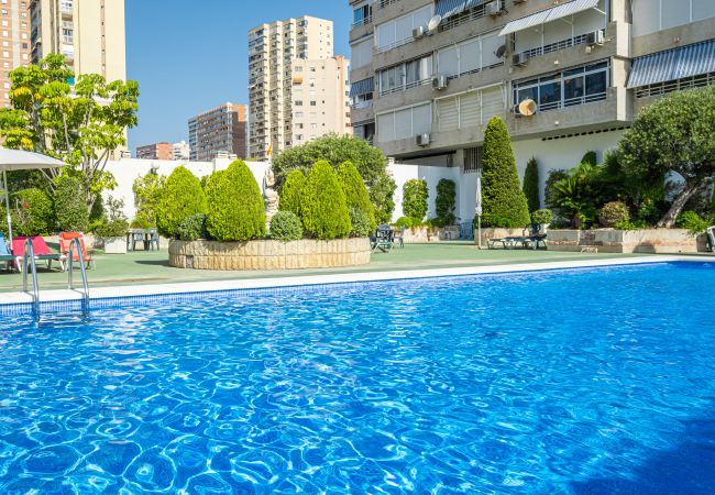 Апартаменты на Бенидорм / Benidorm - Torre Domo 9-D Levante Beach Апартаменты на Бенидорм / Benidorm - Torre Domo 9-D Levante Beach