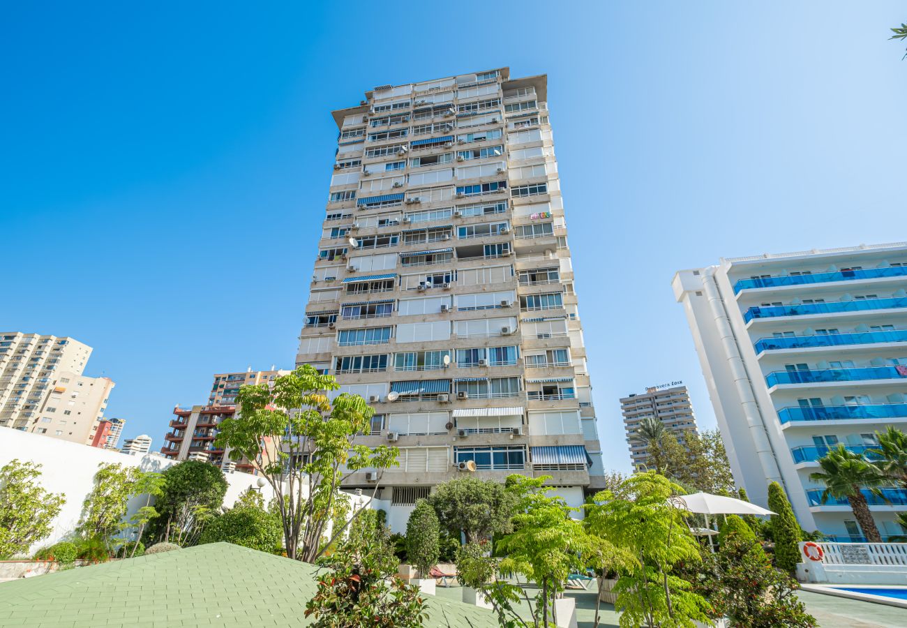 Апартаменты на Бенидорм / Benidorm - Torre Domo 9-D Levante Beach Апартаменты на Бенидорм / Benidorm - Torre Domo 9-D Levante Beach
