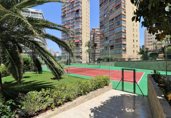 Апартаменты на Бенидорм / Benidorm - Don Miguel 2-A Apartment Levante Beach Апартаменты на Бенидорм / Benidorm - Don Miguel 2-A Apartment Levante Beach